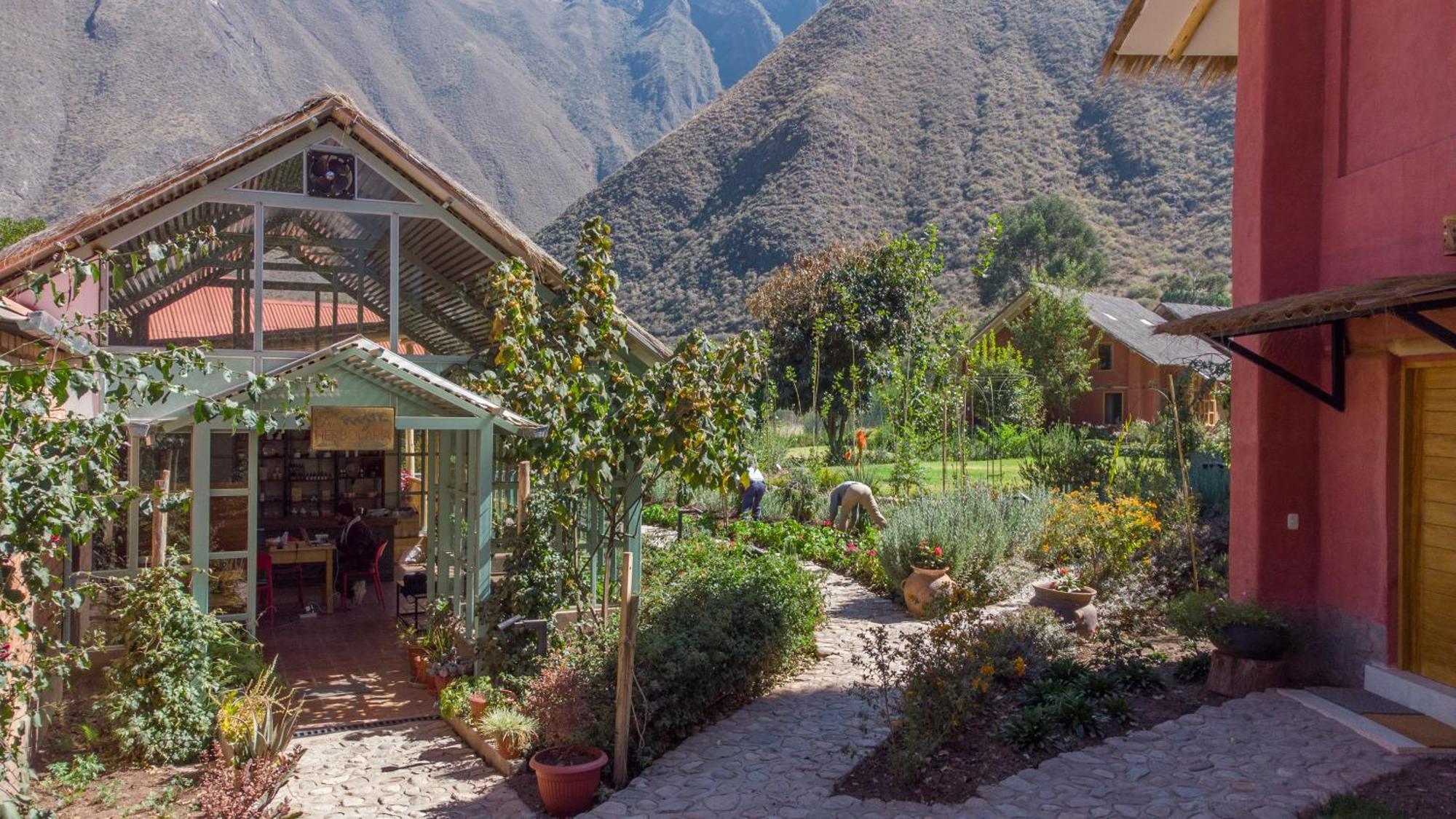 Arbol De La Vida Hotel Huaran Buitenkant foto